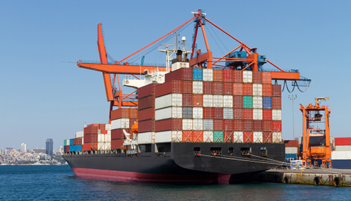 Zhejiang Vermillion Import and Export Co., Ltd.